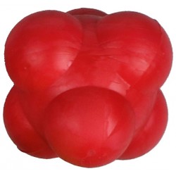 Obrázek