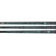 FATPIPE Next-G 27 Ctrl