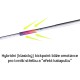 SALMING P-Series Carbon Pro Shaft 29 JR Black